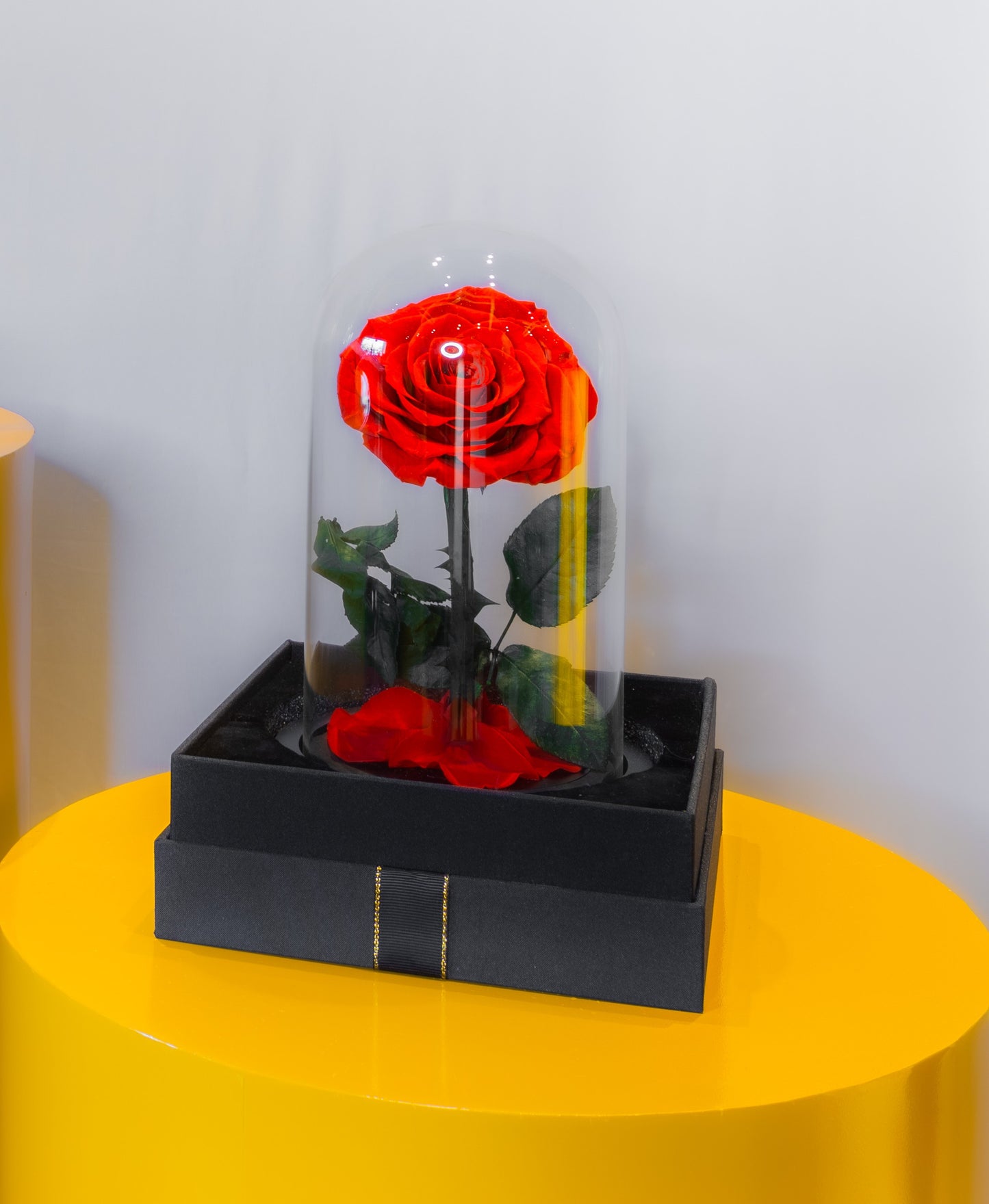 ENDLESS LOVE ROSE (Single-Stem)